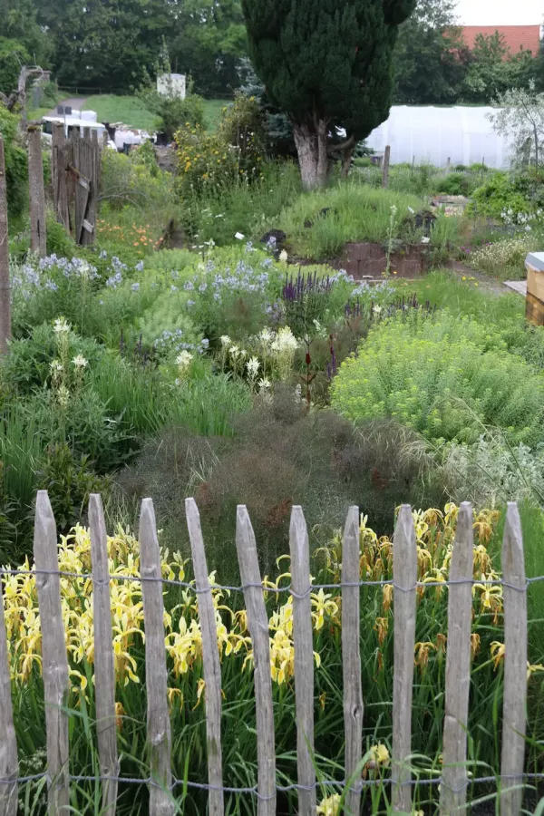 Schaubeet mit heimischen und europäischen Stauden für trockene Gartenbereiche