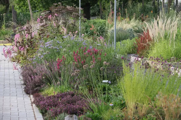 Staudenbeet am Gräser-Verkaufsquartier