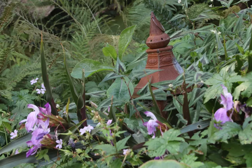 Schattenstaudenbeet im Innenhof (Verkauf)