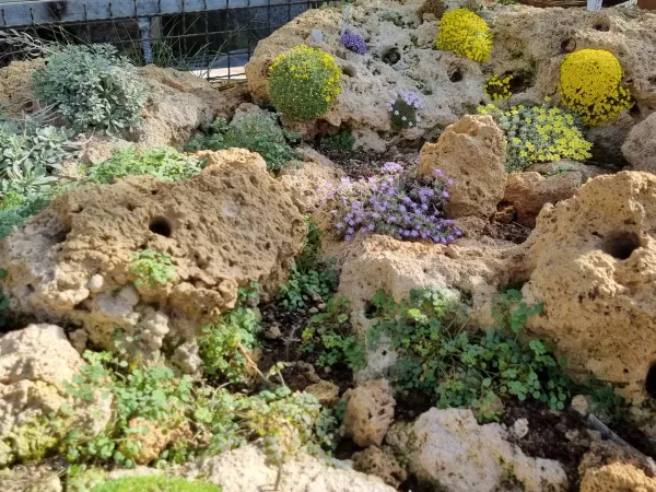 Idealer Standort für Dionysien ist Kalktuff