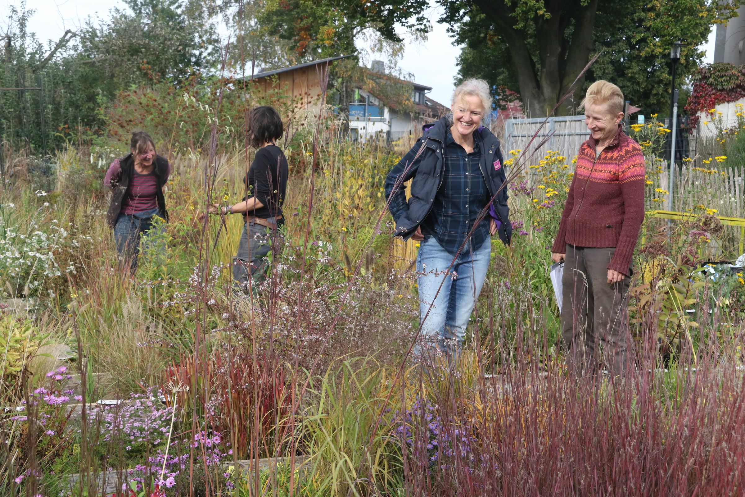 Beratung im Gräserquartier
